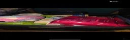 Rat rodents for sale: bonded pair of male rats - Advert 10