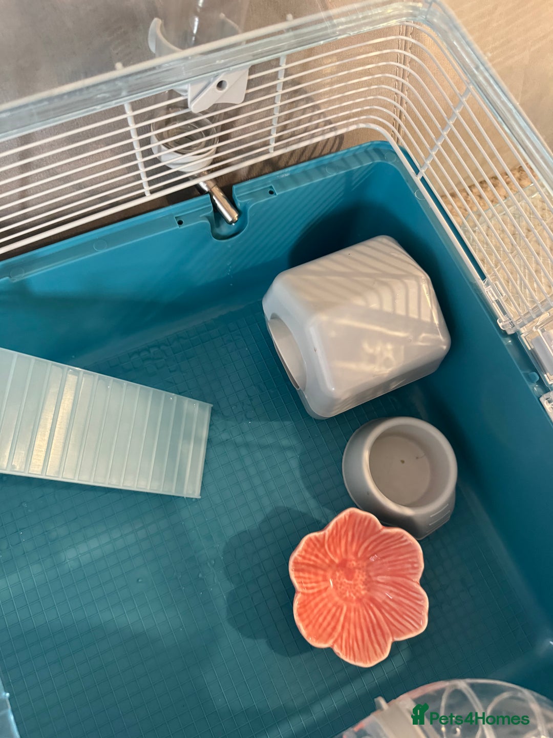 Hamster rodents for sale: Hamster cage set up with everything u need - Image 8