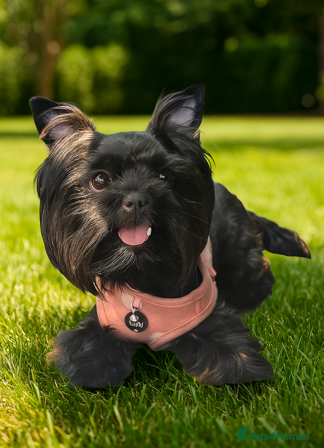 Gallery Image {{count}}