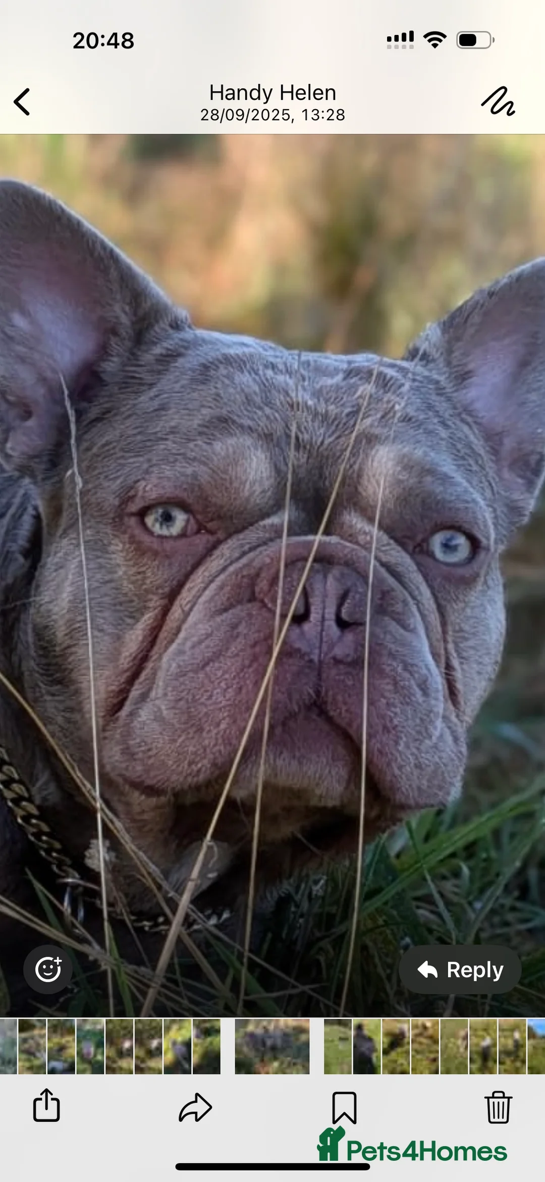 Gallery Image {{count}}