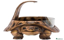 Tortoise reptiles for sale: The vividarium tortoise home - Image 4