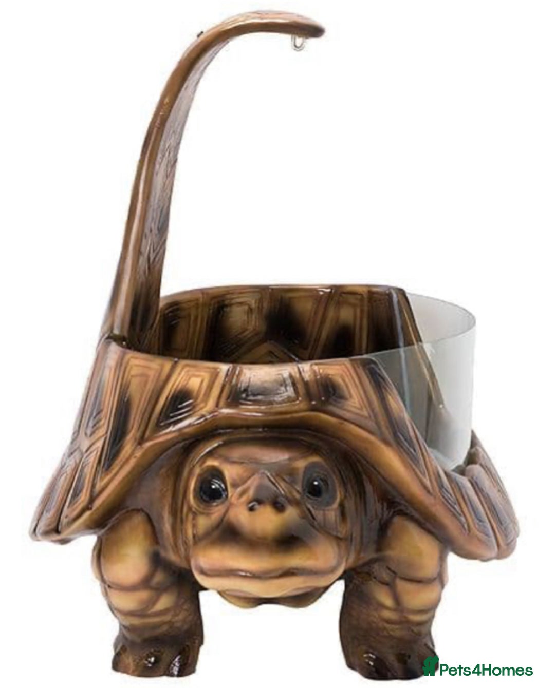 Tortoise reptiles for sale: The vividarium tortoise home - Image 4