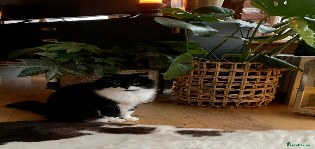 Gallery Image {{count}}