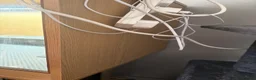Bearded Dragon reptiles for sale: Bearded dragon for sale - Advert 5