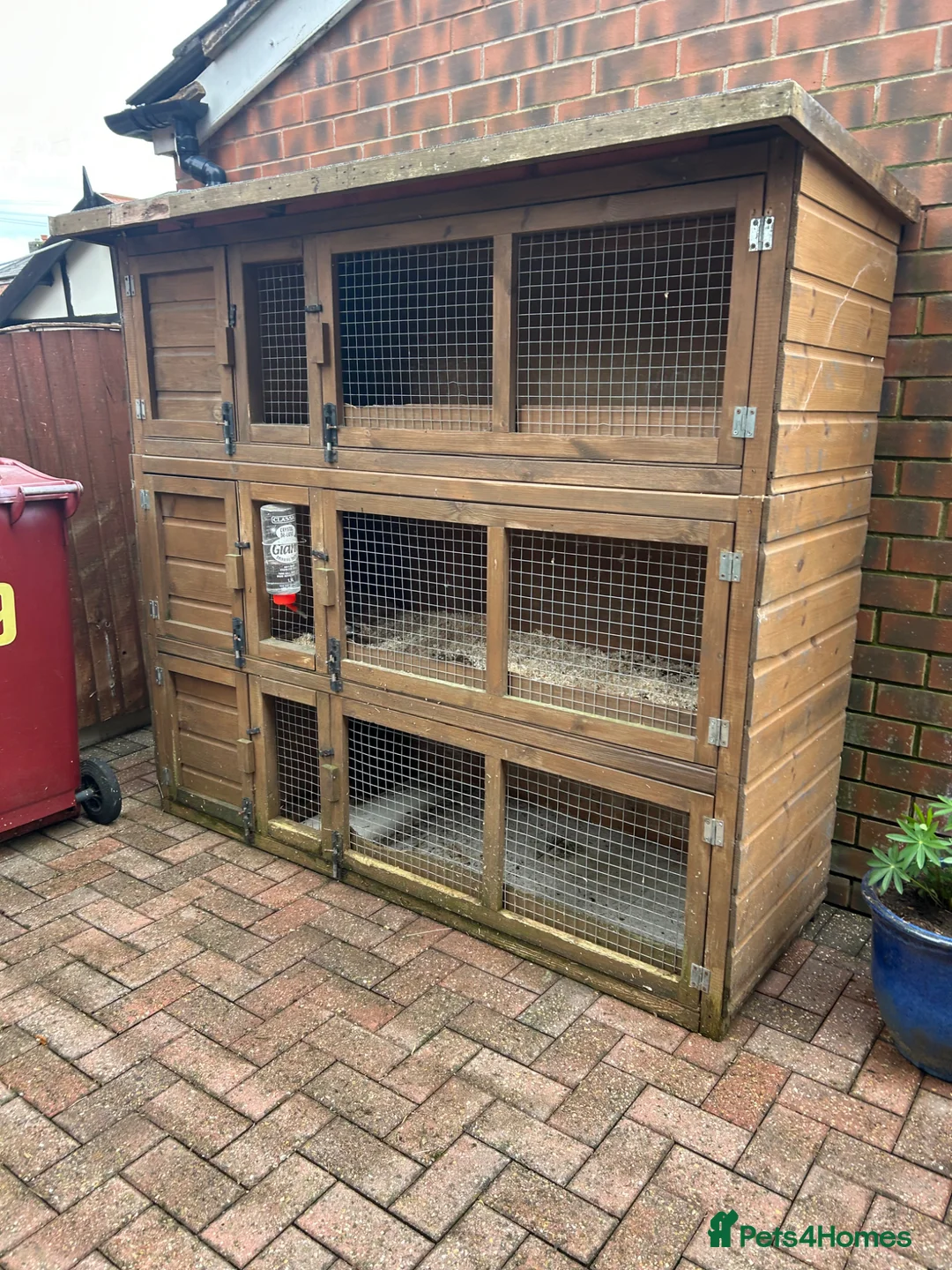 Mini Lop rabbits for sale: 3 teir block rabbit hutches- used  - Advert 1