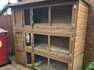Mini Lop rabbits 3 teir block rabbit hutches- used - Advert 15