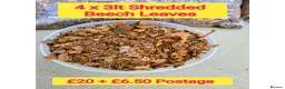 Millipedes invertebrates for sale: Pick & Mix see Photos  - Advert 5