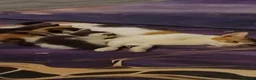 Mixed Breed cats for sale: 3 months of kittens for sale in Preston - Advert 2