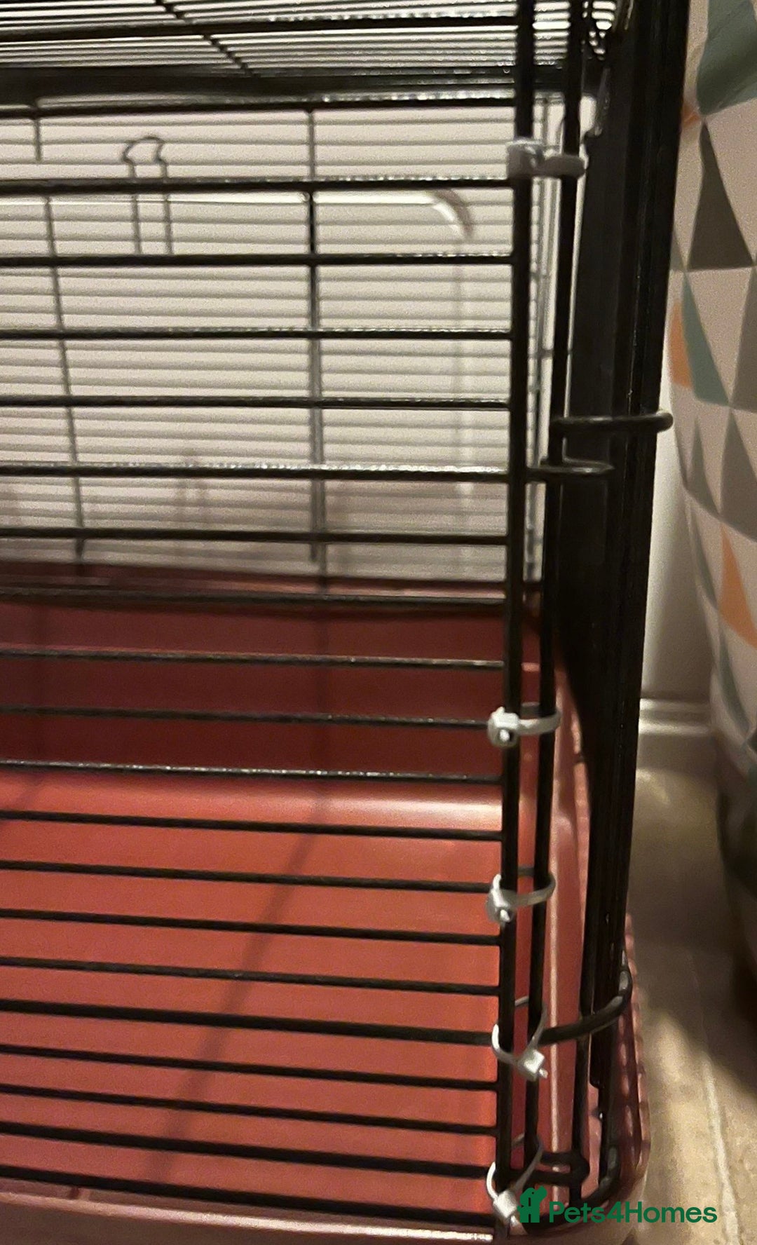 Hamster rodents for sale: Alaska hamster cage  - Image 5