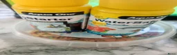 Platies fish for sale: Plattie fish in Birmingham - Advert 9