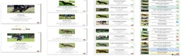 German Shepherd dogs for sale: Czech import super pedigree health tested female - Advert 6