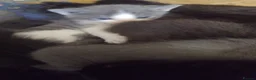 Mixed Breed cats for sale: Adorable kittens for sale in Ellesmere Port - Advert 9