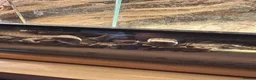 Monitor reptiles for sale: Ackie monitor  - Advert 1