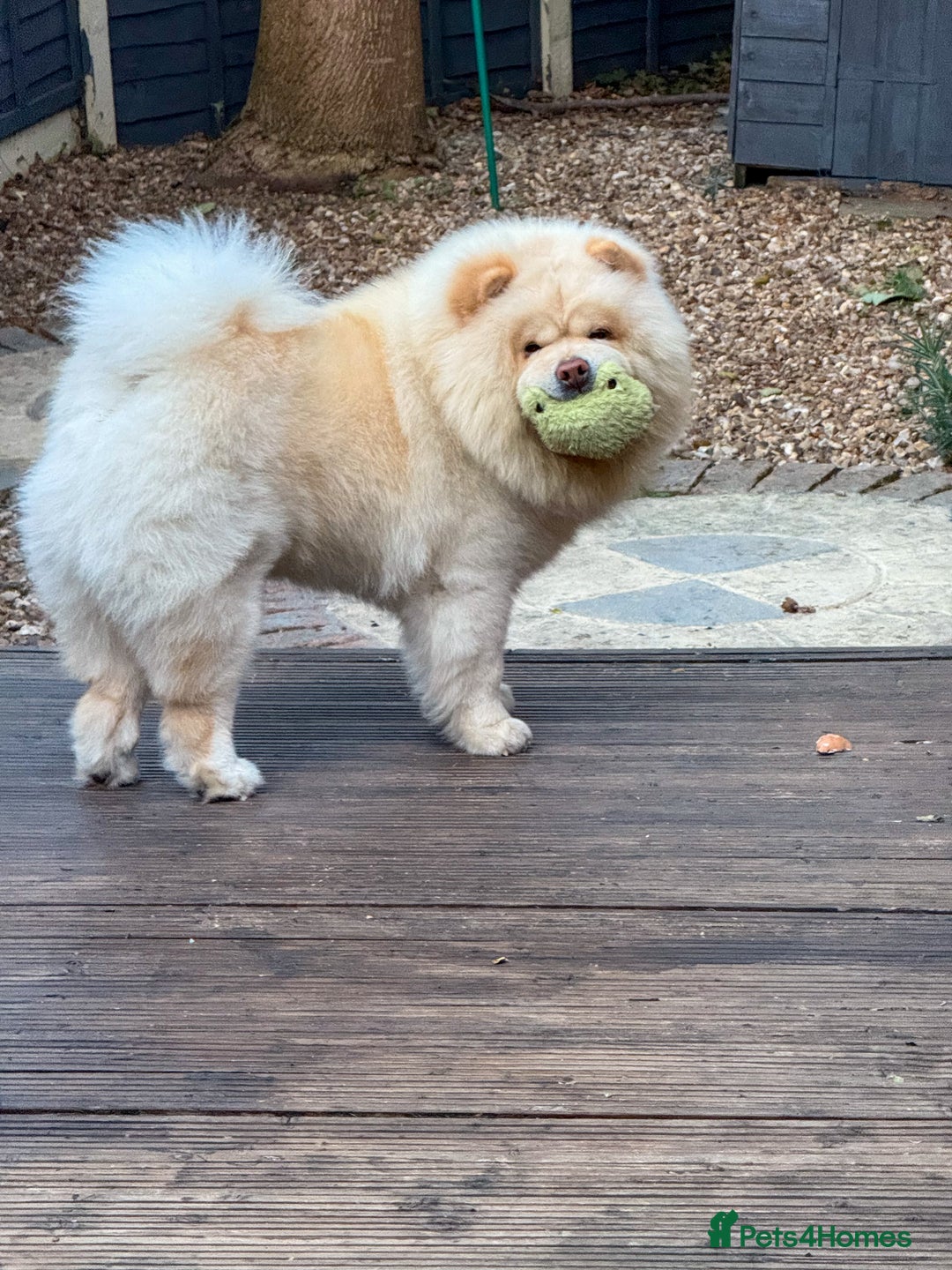 Gallery Image {{count}}