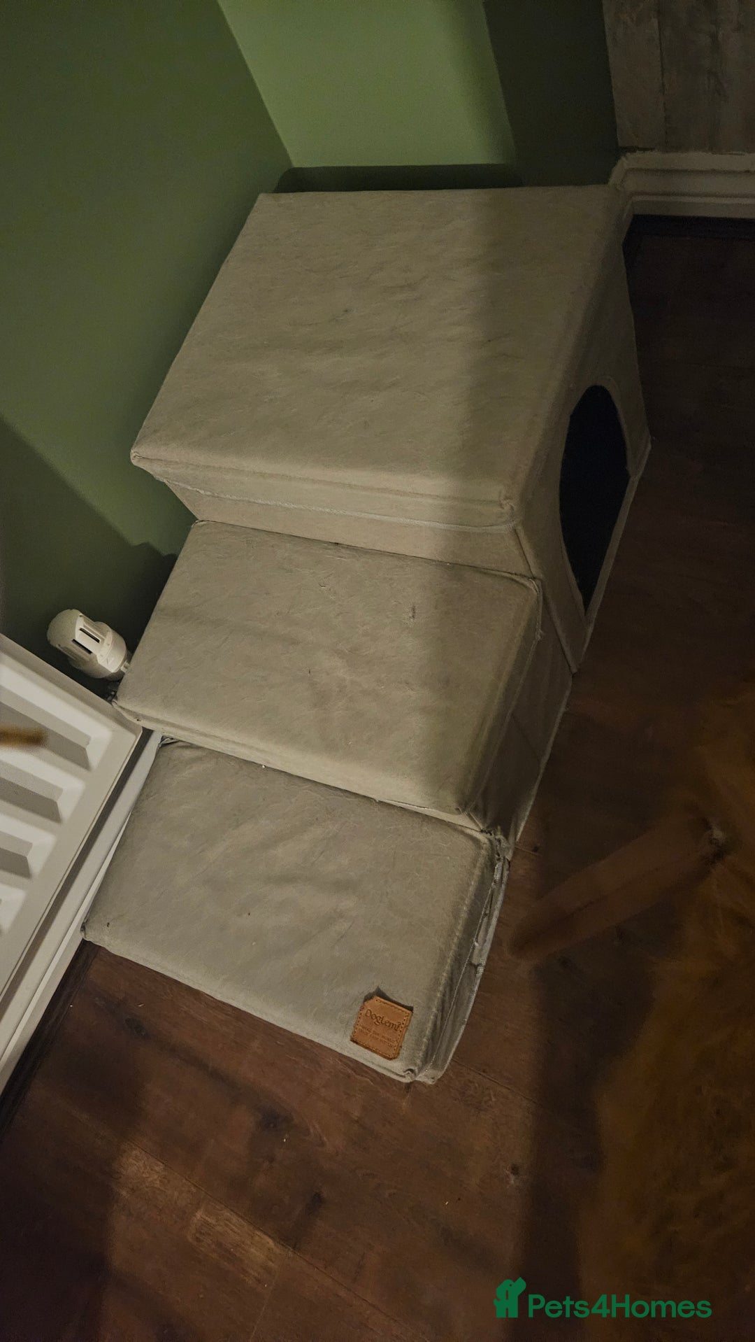 British Shorthair cats for sale: Boy cat for sale includes food/bed/toys - Advert 8