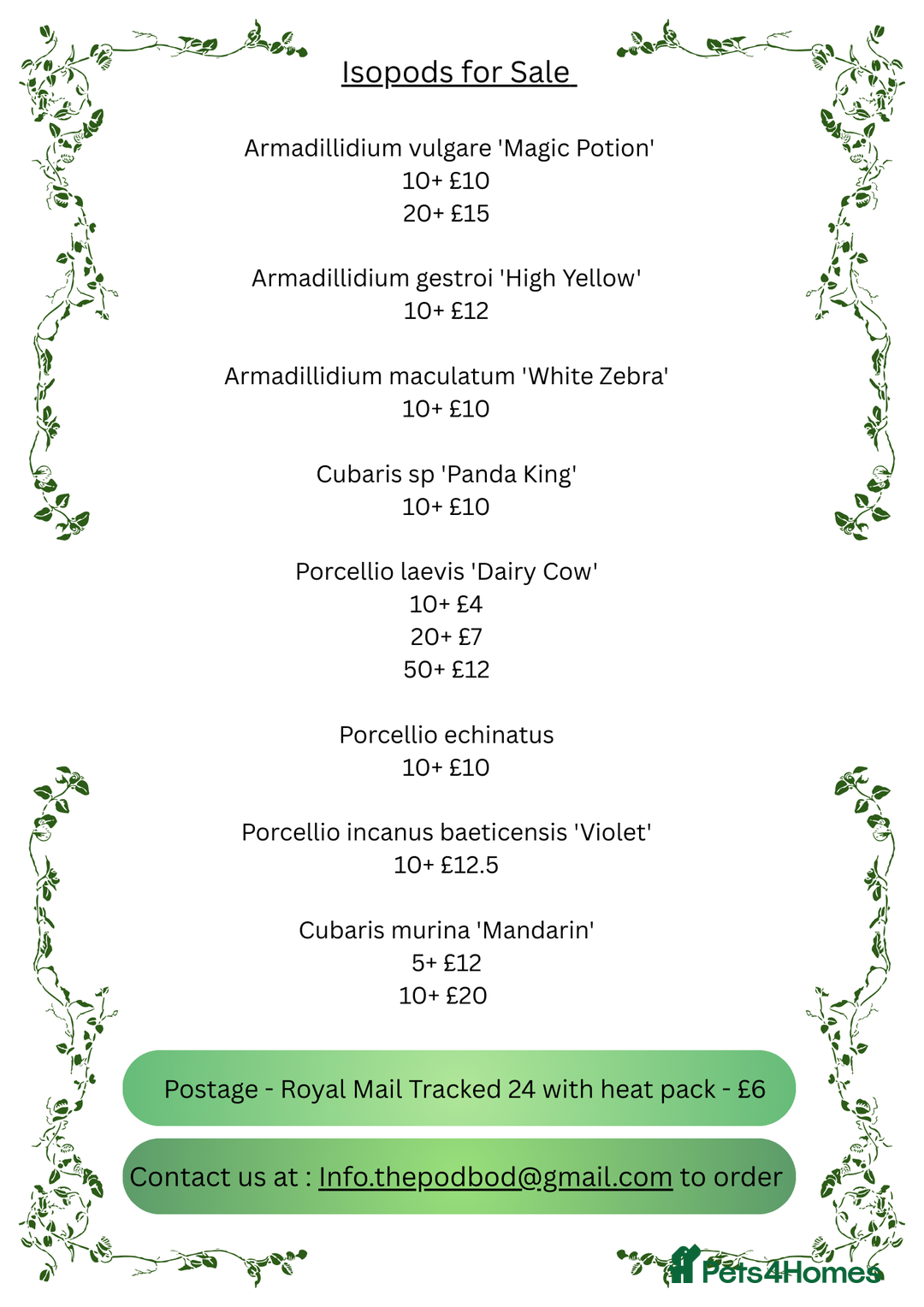 Isopods invertebrates for sale: Isopods for sale - many species available - Advert 3