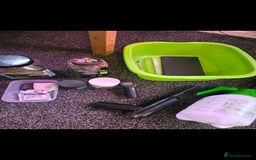Tortoise reptiles for sale: Sulcata tortoise and set up - Image 10