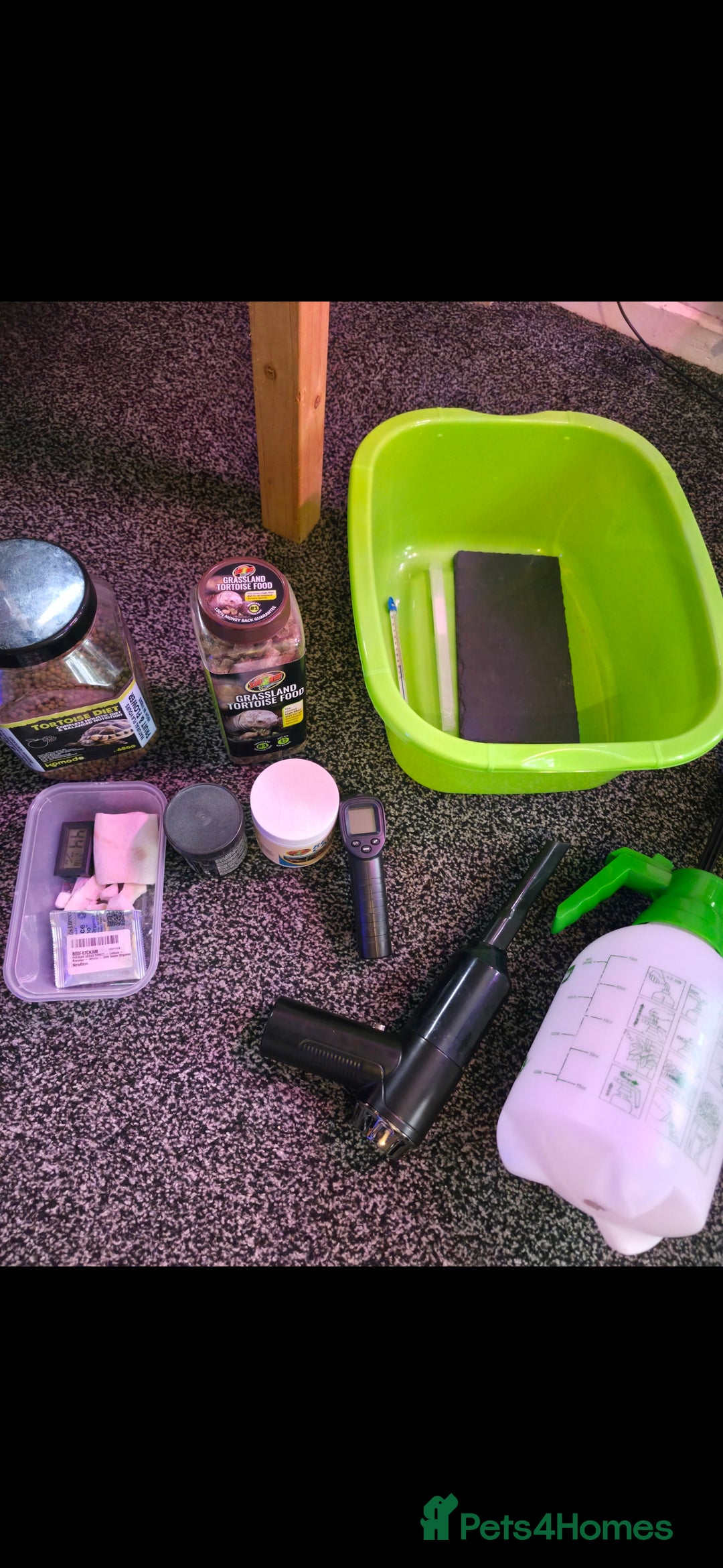 Tortoise reptiles for sale: Sulcata tortoise and set up - Image 10