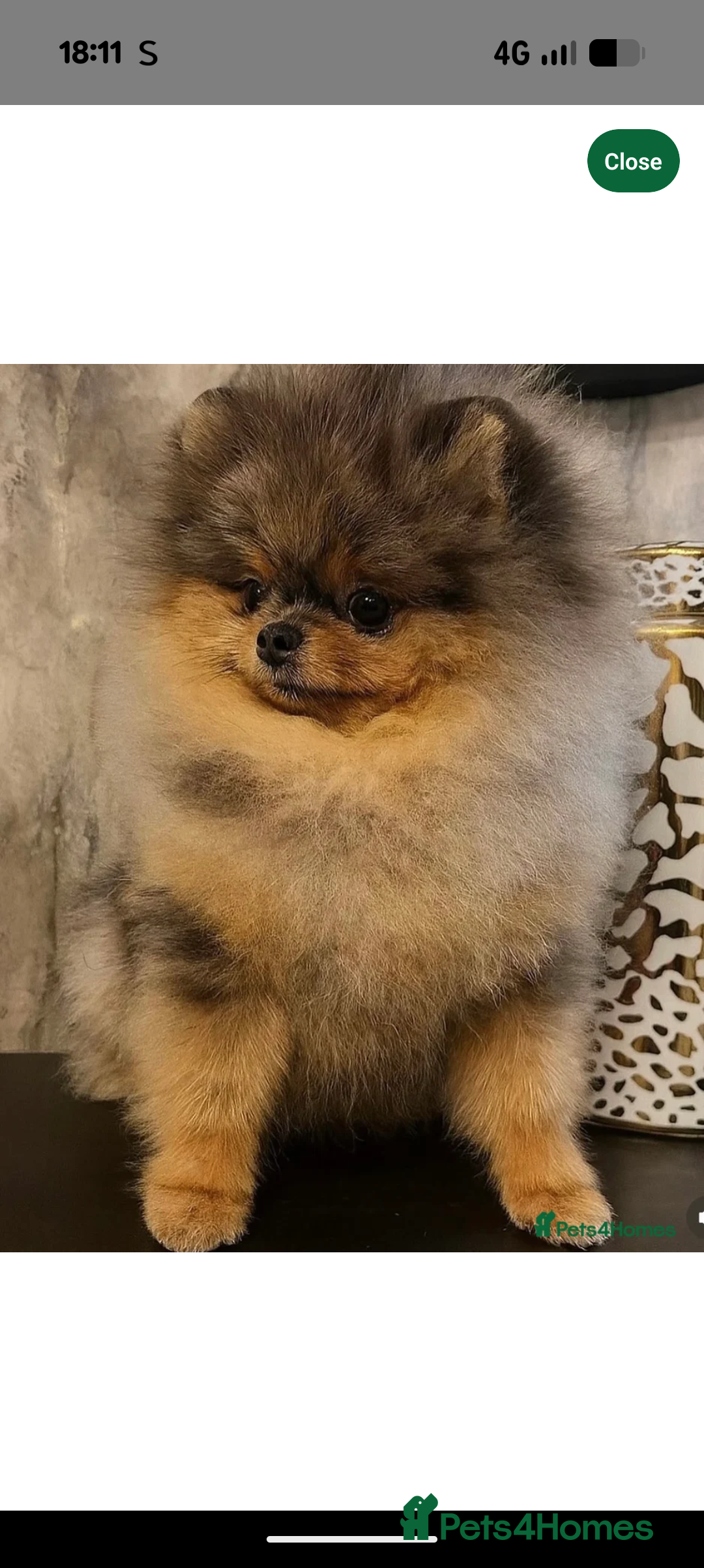 Rox