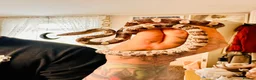 Corn Snake reptiles for sale: Female corn snake - Advert 1