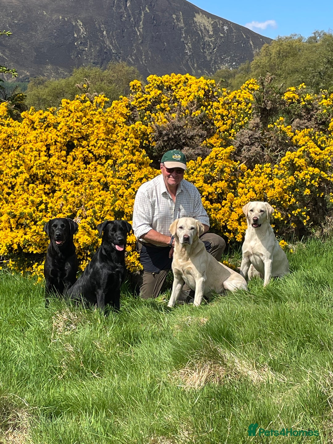 Gallery Image {{count}}