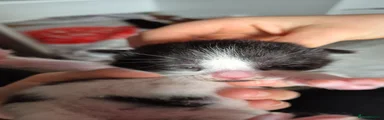 Mixed Breed 2