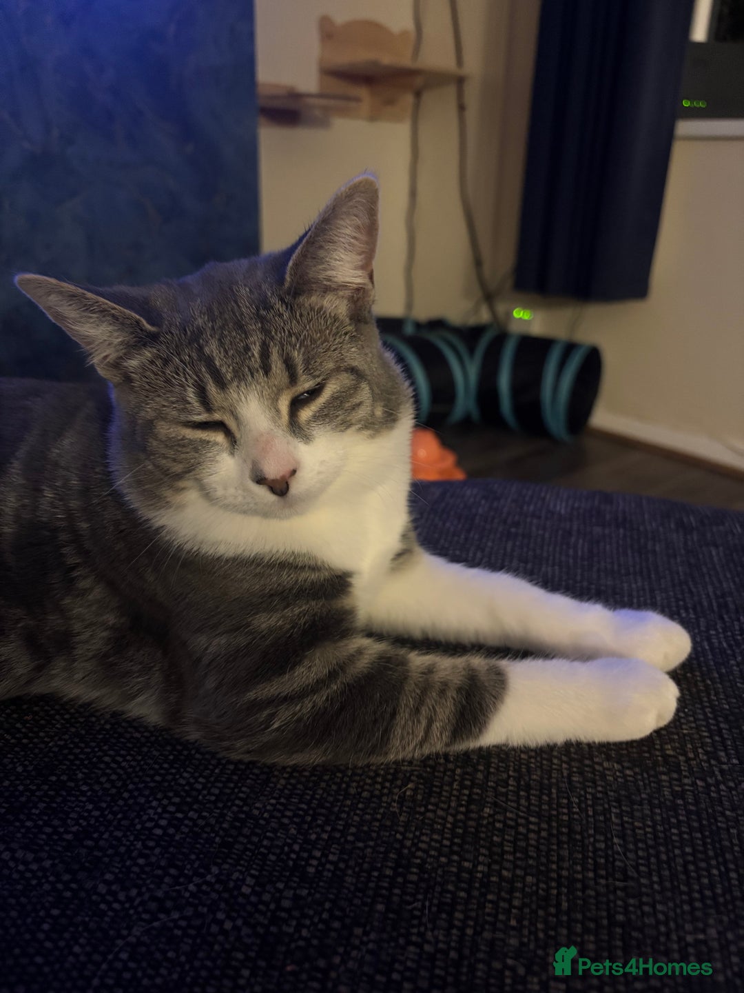 Gallery Image {{count}}