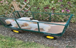 Cocker Spaniel dogs for sale: Cocker Spaniels, working type, KC reg, DNA clear - Image 10