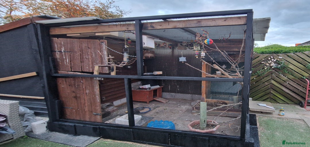 Gallery Image {{count}}