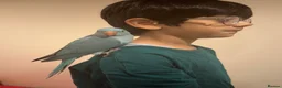 Ringnecks birds for sale: Blue Indian Ringneck Parrot Hand Tame in Birmingham - Advert 7