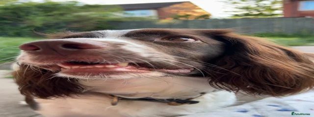 15/09/2022