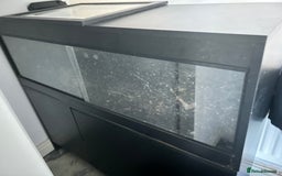 Tortoise reptiles for sale: Male and female horse field tortoises  - Advert 5