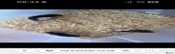Rat rodents for sale: Beautiful rats for sale  - Advert 1