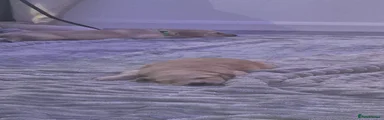 Golden Retriever 3