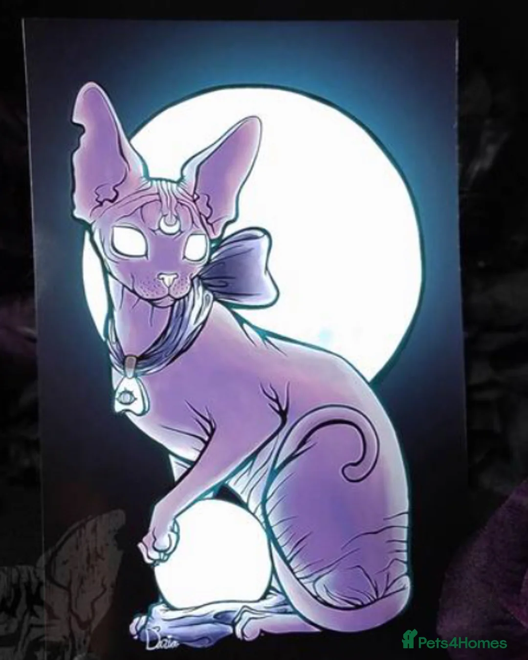 Gallery Image {{count}}