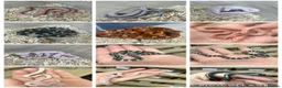 Corn Snake reptiles for sale: Various Morphed Cornsnake babies - Advert 6