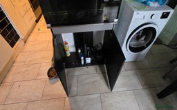 Other/Mixed Breed fish for sale: Lucistic pink axlotlt and tank set up - Image 2