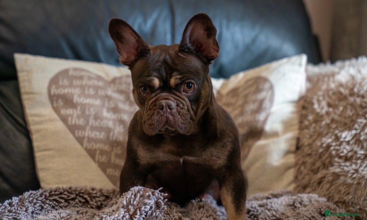 Millie