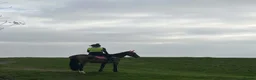 Other Breed horses for sale: Welsh part breed mare 15h - Advert 15