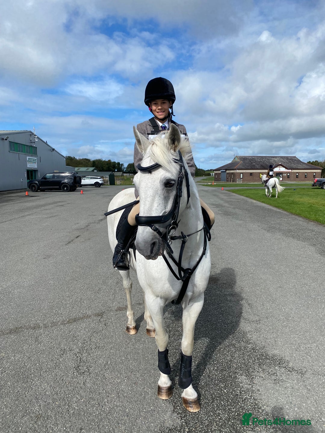 Connemara horses for sale: Beautiful Connie X Mare  - Advert 7