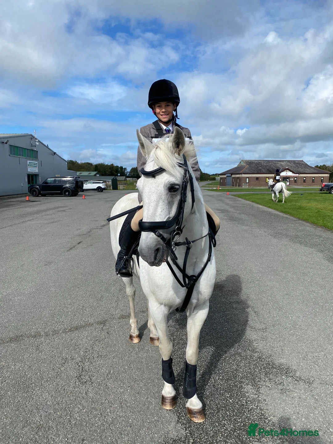 Connemara horses for sale: Beautiful Connie X Mare  - Advert 7