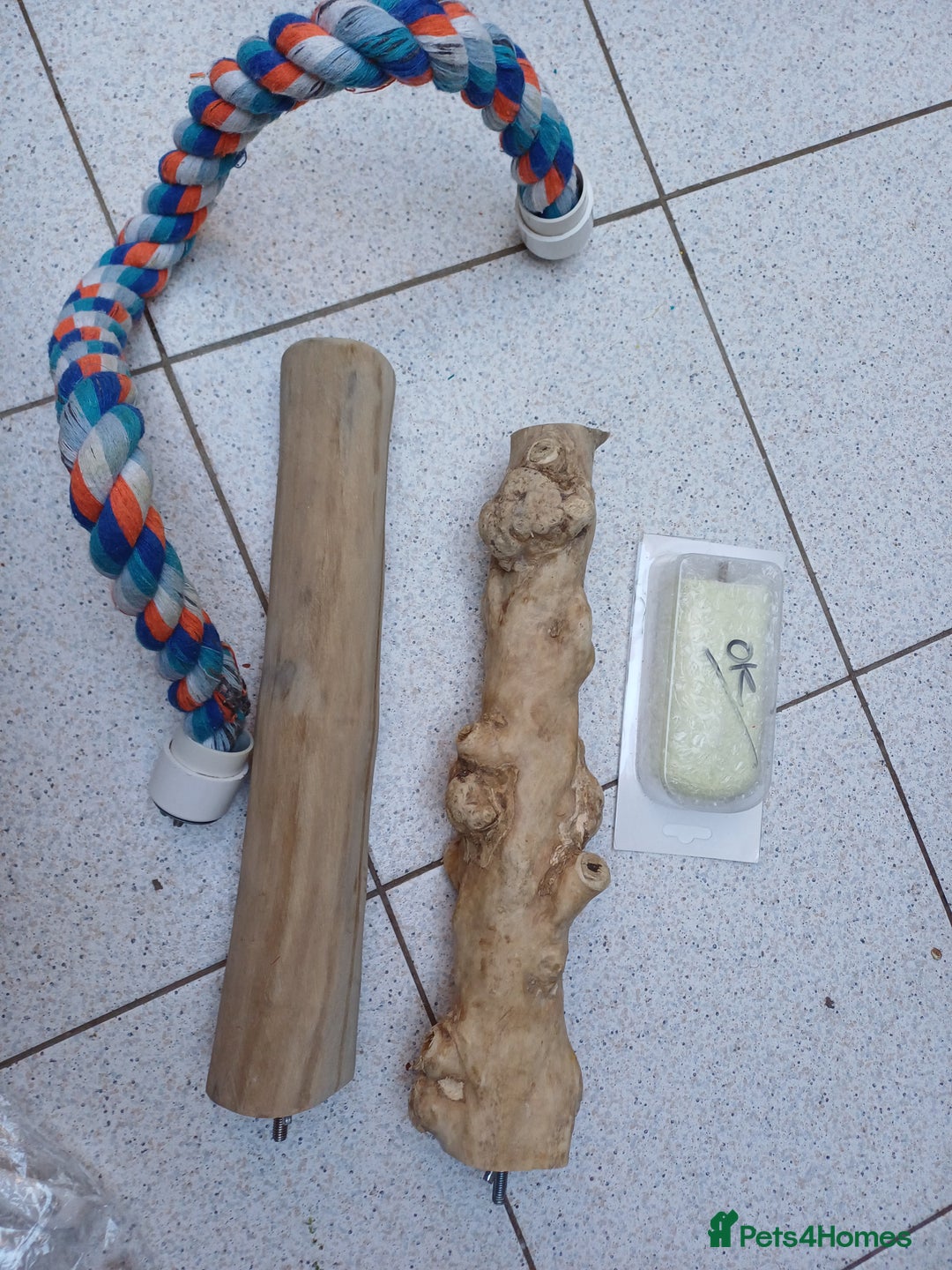 Macaws birds for sale: Blue & Gold Macaw For Sale - Image 35