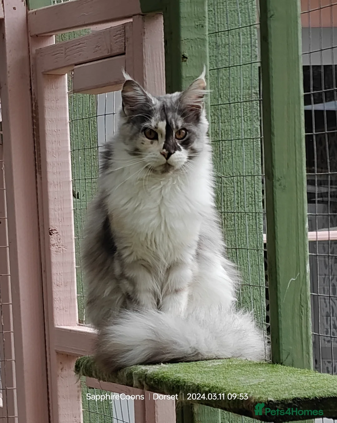 Gallery Image {{count}}