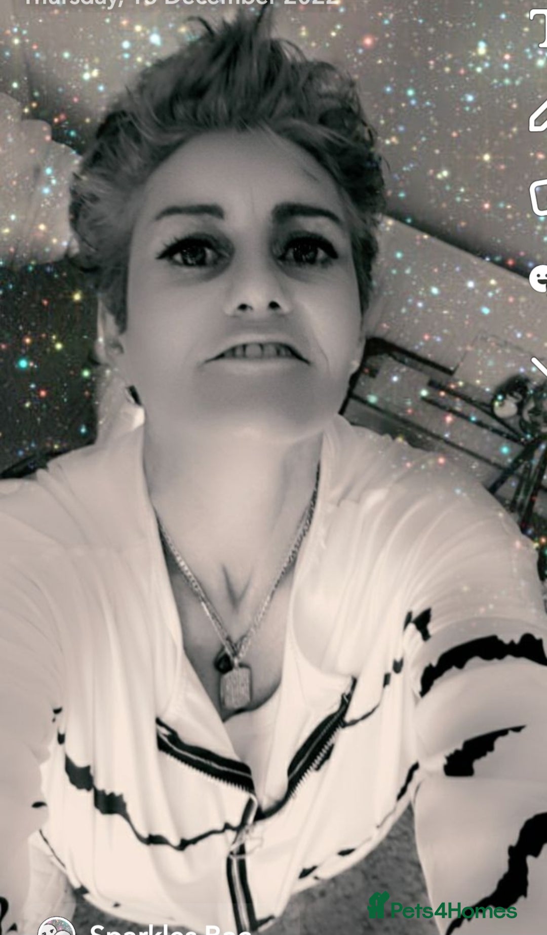 Immagine della galleria {{count}}