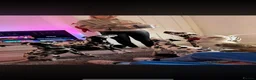 Dalmatian dogs for sale: Alaska - Advert 4