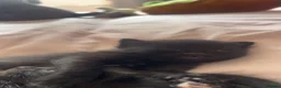 Mixed Breed cats for sale: Black kittens  - Advert 3