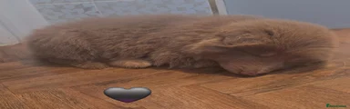 German Shepherd 2