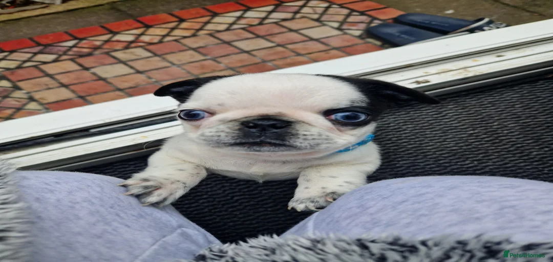 Gallery Image {{count}}