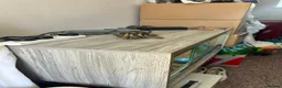 Tortoise reptiles for sale: Hermanns Tortoise with Vivarium - Advert 4