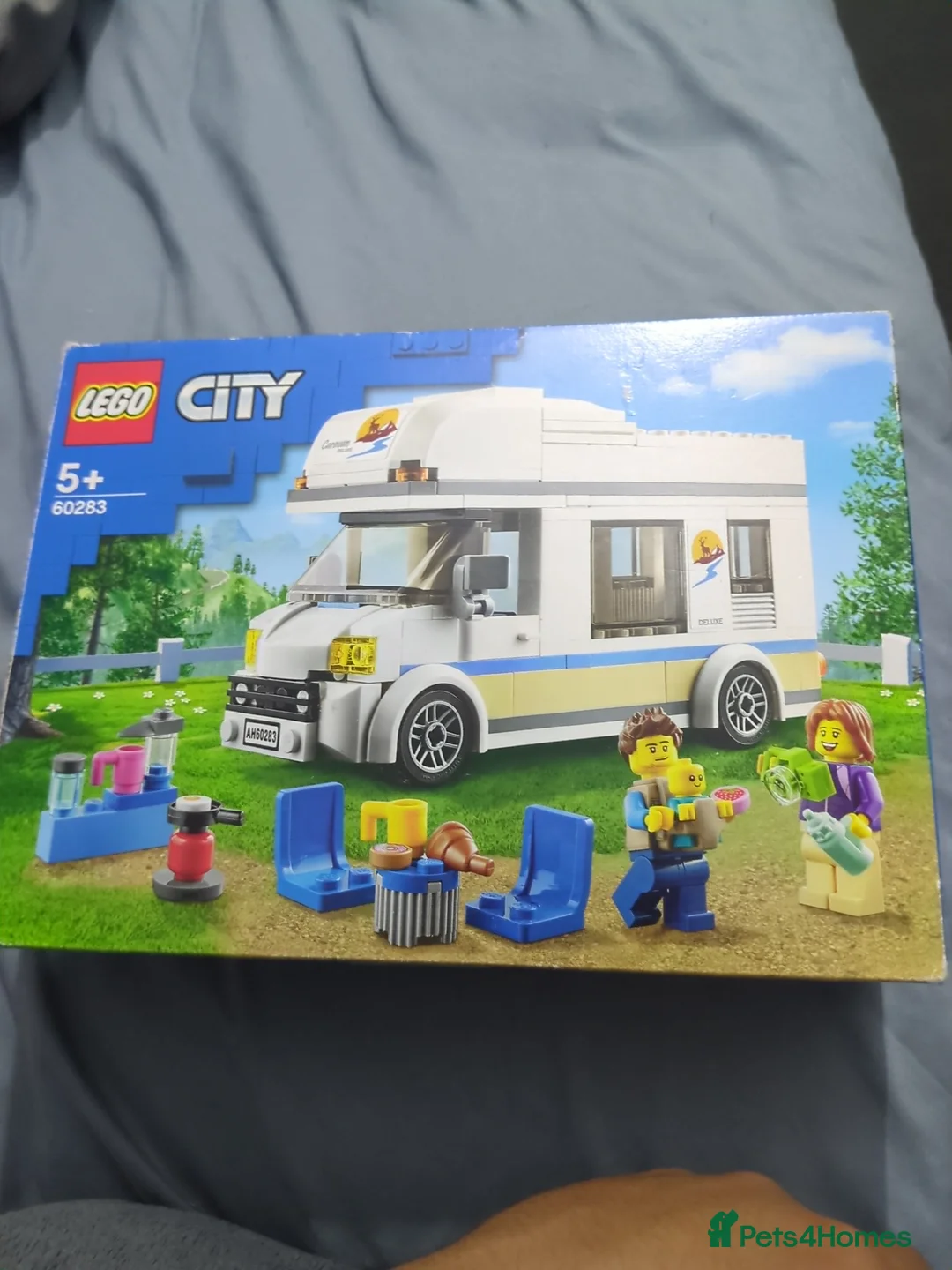 Chow Chow dogs for sale: Chow chow - Advert 1